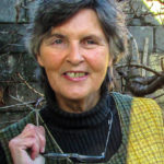 Awakening Together Satsang with Tess Hughes #2
