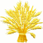 NTI-The Holy Spirit's Interpretation of the New Testament
