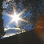 I Am A Dream: Remake ~ An Inspirational Article by Billy Sintiris and Meg Reinhart